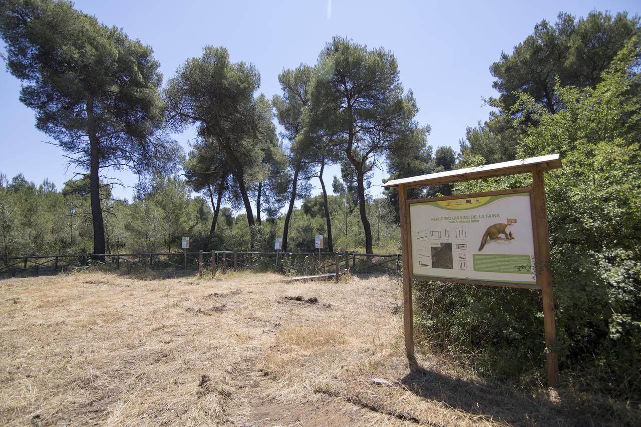 Villaggio Catalano 卡斯特拉巴特滨海 外观 照片